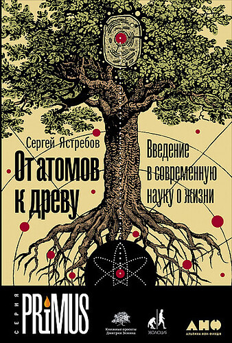 От атомов к древу, Ястребов